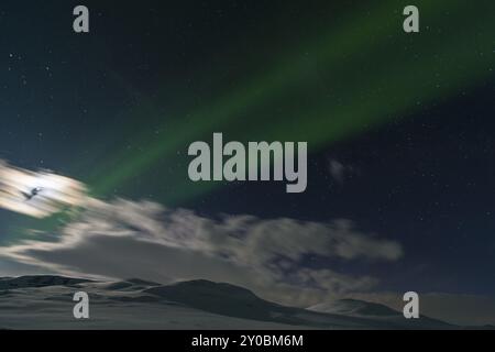 Aurora boreale (Aurora boreale) sulle montagne illuminate dalla luna sul sentiero escursionistico a lunga distanza Kungsleden, Alesjaure, Norrbotten Lapponia, Svezia, 20 marzo Foto Stock