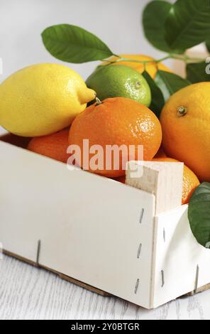 Agrumi freschi nella scatola di legno Foto Stock