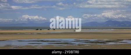 Spiaggia di Marahau con bassa marea. Paesaggio dai colori pastello. Abel Tasman National Park, nuova Zelanda, Oceania Foto Stock