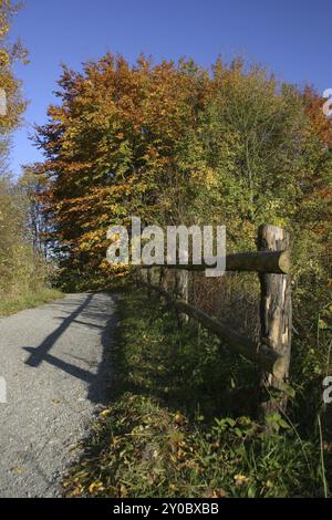 Sentiero escursionistico in un paesaggio autunnale Foto Stock