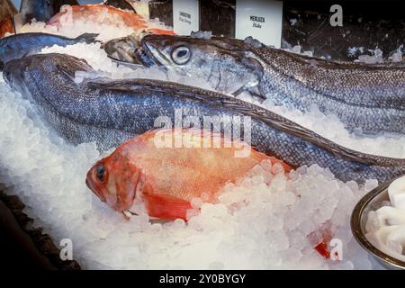 Pesce fresco in vendita in un mercato alimentare in Spagna. Nasello e scorfano su ghiaccio Foto Stock