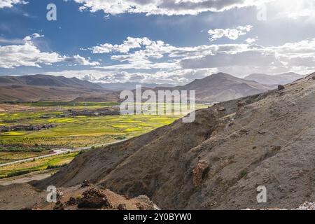 Vista su Sakya e la fioritura dei semi di colza nel Tibet centrale, cielo al tramonto con spazio copia Foto Stock