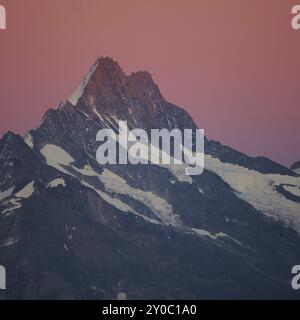 Monte Schreckhorn all'alba. Vista dal Monte Niederhorn. Montagna nell'Oberland Bernese, Svizzera, Europa Foto Stock