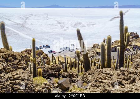 I turisti parcheggio auto a Incahuasi isola nel Salar de Uyuni distesa di sale per visite turistiche e a pranzo Foto Stock