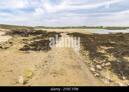 Borthwen spiaggia vicino Rhoscolyn, Anglesey, Gwynedd, Wales, Regno Unito Foto Stock