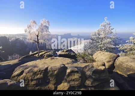 Montagne di arenaria dell'Elba in inverno Carolafelsen, montagne di arenaria dell'Elba in inverno e hoarfrost, Carolarock Foto Stock