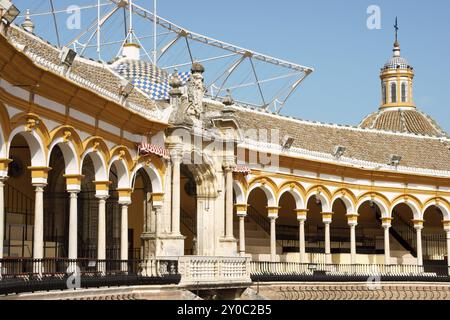 I dettagli di Plaza de Toros de la Real Maestranza de Caballeria de Sevilla o semplicemente Plaza de Toros di Siviglia sono la più antica arena d'oro della Spagna. E' stato bu Foto Stock