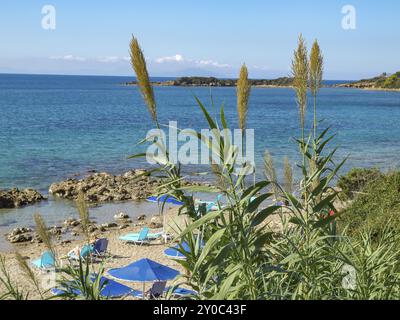 Vista di una spiaggia tranquilla con lettini e ombrelloni, incorniciata da piante verdi e il mare azzurro, katakolon, Mar mediterraneo, grecia Foto Stock