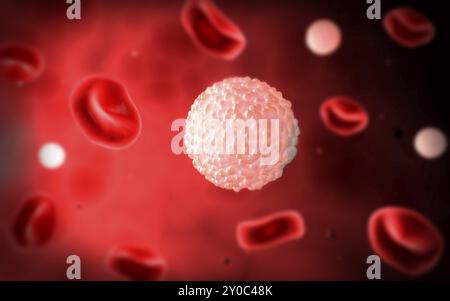 Vista microscopica dei globuli bianchi all'interno dei vasi sanguigni Foto Stock