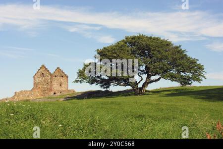 Hammershus sull'isola danese di Bornholm Foto Stock