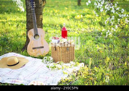 Chitarra, basket, panini, plaid e succo in un giardino in fiore. Vintage sfondo di gara. Il romanticismo, amore, data Foto Stock