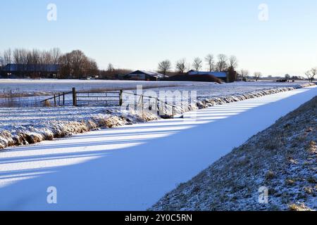 Ombre di alberi sui campi in inverno, Groningen Foto Stock