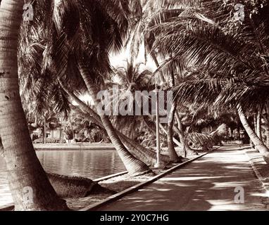 Percorso del lago vicino all'Henry Flagler's Whitehall Hotel a Palm Beach, Florida, c1930. (USA) Foto Stock