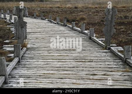 Percorso di una tavola attraverso l'Hiller Moor Foto Stock