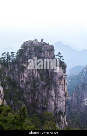 Scimmia che guarda il mare a Huang Shan, Cina, Asia Foto Stock