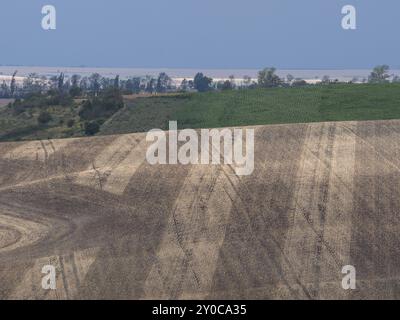 Atmosfera di tempesta su un campo di grano raccolto in Turingia, con un motivo a righe Foto Stock