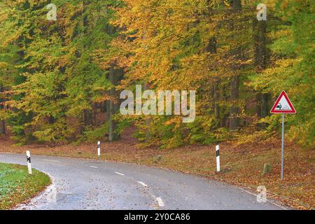 Strada tortuosa attraverso una foresta autunnale con foglie colorate e un cartello stradale, Spessart, Baviera, Germania, Europa Foto Stock