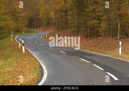 Una strada tortuosa conduce attraverso una foresta autunnale, coperta da foglie cadenti, Altenbuch, distretto di Miltenberg, Spessart, Baviera, Germania, Europa Foto Stock