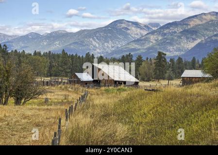 Un vecchio fienile in un pascolo con le montagne della missione sullo sfondo vicino a St. Ignatius, Montana Foto Stock