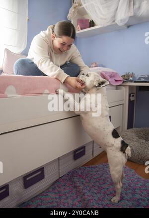 Una ragazza si siede su un letto bianco con una coperta rosa, giocando con un cane in un'accogliente camera da letto dalle pareti blu, tarragona, spagna Foto Stock