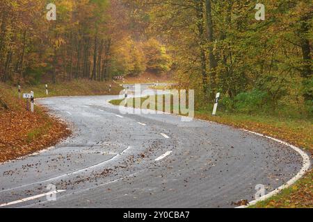 Una strada tortuosa conduce attraverso una foresta autunnale, coperta da foglie cadenti, Altenbuch, distretto di Miltenberg, Spessart, Baviera, Germania, Europa Foto Stock