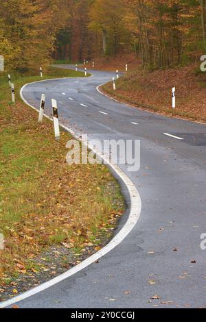 Una strada tortuosa conduce attraverso una foresta autunnale, coperta da foglie cadenti, Altenbuch, distretto di Miltenberg, Spessart, Baviera, Germania, Europa Foto Stock