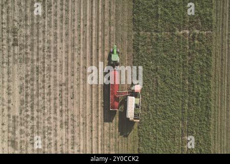 Vista aerea di un trattore che raccoglie prodotti rossi in un campo verde Foto Stock