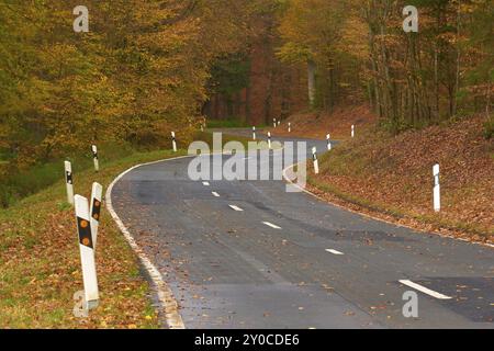 Una strada tortuosa conduce attraverso una foresta autunnale, coperta da foglie cadenti, Altenbuch, distretto di Miltenberg, Spessart, Baviera, Germania, Europa Foto Stock