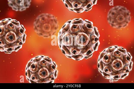 Immagine concettuale del virus umano dell'infezione da papillomavirus Foto Stock