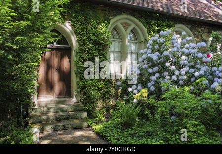 Woerlitzer Park Kuhstall, terreni inglesi della vacca Woerlitz 02 Foto Stock