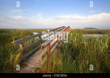 Lungo ponte in legno per biciclette sul fiume al mattino Foto Stock