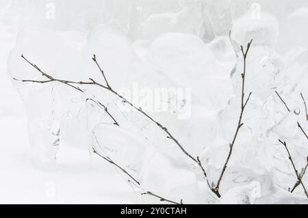 Rami di betulla intrappolati nel ghiaccio, Atndalen, Hedmark Fylke, Norvegia, aprile 2012, Europa Foto Stock