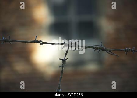 Primo piano della silhouette delle bobine filo arrugginito arrugginito su sfondo sfocato Foto Stock