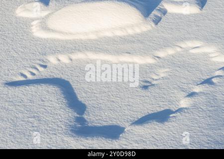 Strutture innevate in un torrente ghiacciato, Parco Nazionale Muddus, Laponia Patrimonio dell'Umanità, Norrbotten, Lapponia, Svezia, ottobre 2012, Europa Foto Stock