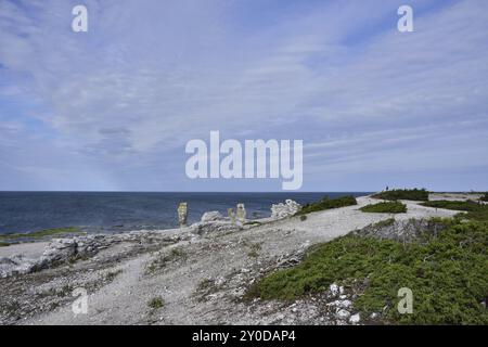 Costa con pietre grezze a Langhammars sull'isola di Faroe su Gotland, Rauks a Langhammars a gotland, svezia Foto Stock