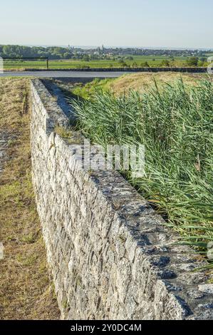 Vista di Rust sul lago Neusiedl con mura e canne Foto Stock