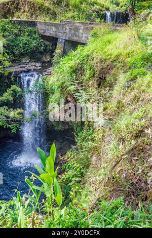 Uno dei 52 ponti e una cascata sulla strada per Hana al Puaa Kaa State Wayside Park, Maui, Hawaii, USA. Foto Stock