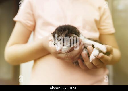 Bambina che tiene un gattino con gli occhi chiusi tra le braccia. Concetto di cura degli animali domestici. Bambino che gioca con adorabile gatto neonato. Foto Stock