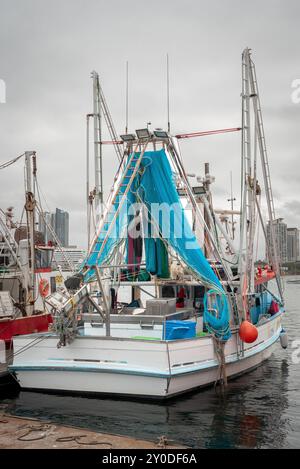 Southport, Gold Coast, Queensland, Australia, 14 agosto, 2024. pescherecci da traino attraccati al molo di pesca sulla Gold Coast. Foto Stock