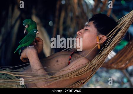 L'uomo indiano Yanomami giace in un'amaca con un paio di pappagalli al polso. Nella foresta amazzonica nel Venezuela meridionale. Foto Stock