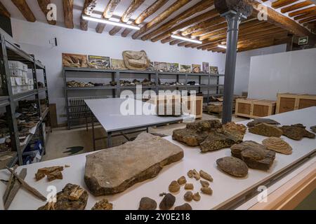 Laboratorio, Centro Paleontologico, Enciso, la Rioja, Spagna, Europa Foto Stock