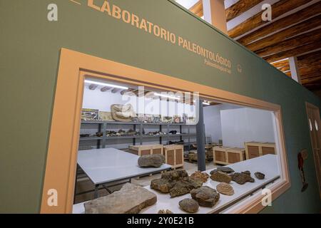 Laboratorio, Centro Paleontologico, Enciso, la Rioja, Spagna, Europa Foto Stock