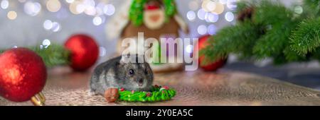 Striscione di criceto grigio sullo sfondo di decorazioni sull'albero di Natale in una casa di pan di zenzero e bokeh. Natale o Capodanno. messa a fuoco morbida Foto Stock
