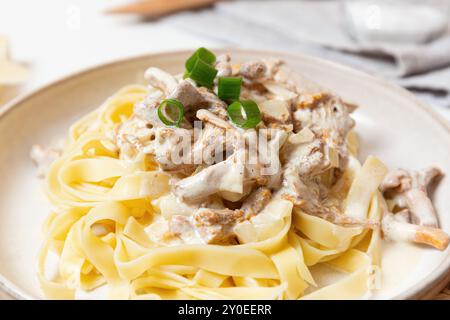 Primo piano di fettuccine con cremosa salsa di funghi chanterelle e guarnita con cipolle verdi, pasto veloce Foto Stock