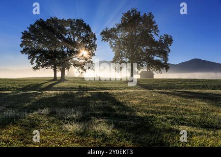 Raggi di sole sugli alberi in condizioni di retroilluminazione, nebbia, paesaggio montano, atmosfera suggestiva, Loisach Kochelsee Moor, Baviera, Germania, Europa Foto Stock