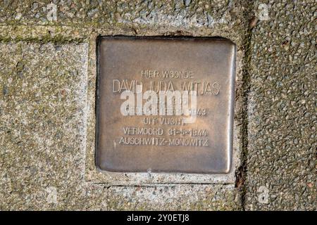 Stolperstein Memorial Stone di David Juda Witjas ad Amsterdam, Paesi Bassi, 7-5-2024 Foto Stock