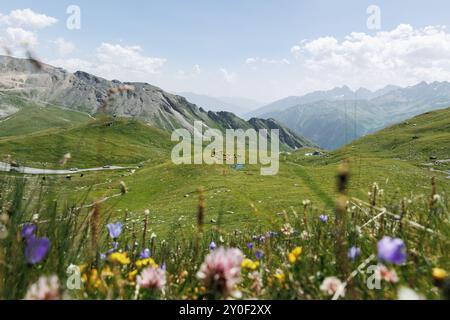 Paesaggio montano idilliaco e panoramico, vista panoramica del pascolo di mandrie di mucche su prati verdi, prati selvaggi sulle alte Alpi europee, valle dei pascoli. Natura Foto Stock