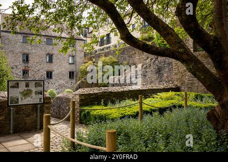 Regno Unito, Inghilterra, Devon, Plymouth, Barbican, New Street, Elizabethan Gardens, Mulberry Tree Foto Stock