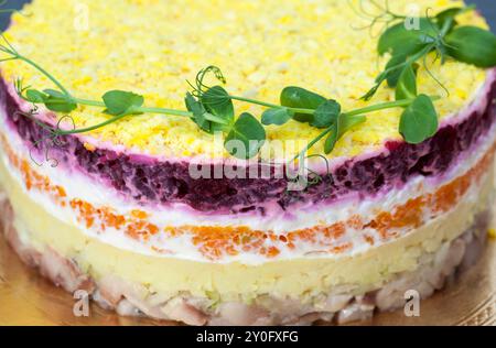 insalata tradizionale con aringhe, maionese, uova, barbabietole bollite e carote, insalata tradizionale con aringhe salate decorata per le vacanze Foto Stock