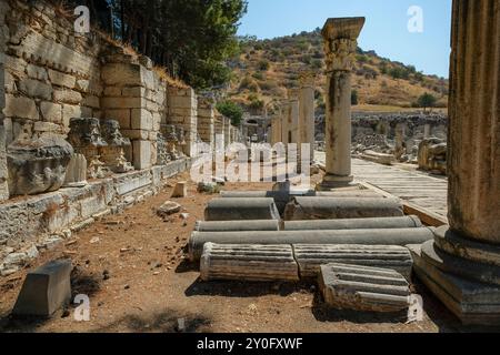 Selcúk, Turchia - 30 agosto 2024: La bassa Agorà tra le rovine dell'antica città di Efeso a Selcók, Turchia. Foto Stock